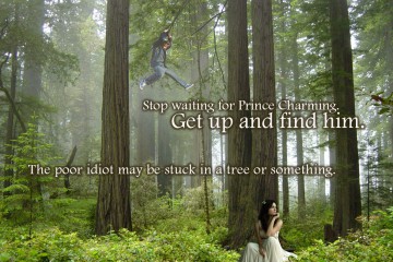 Stop waiting for Prince Charming, Get up and fine him, the poor idiot may be stuck in a tree