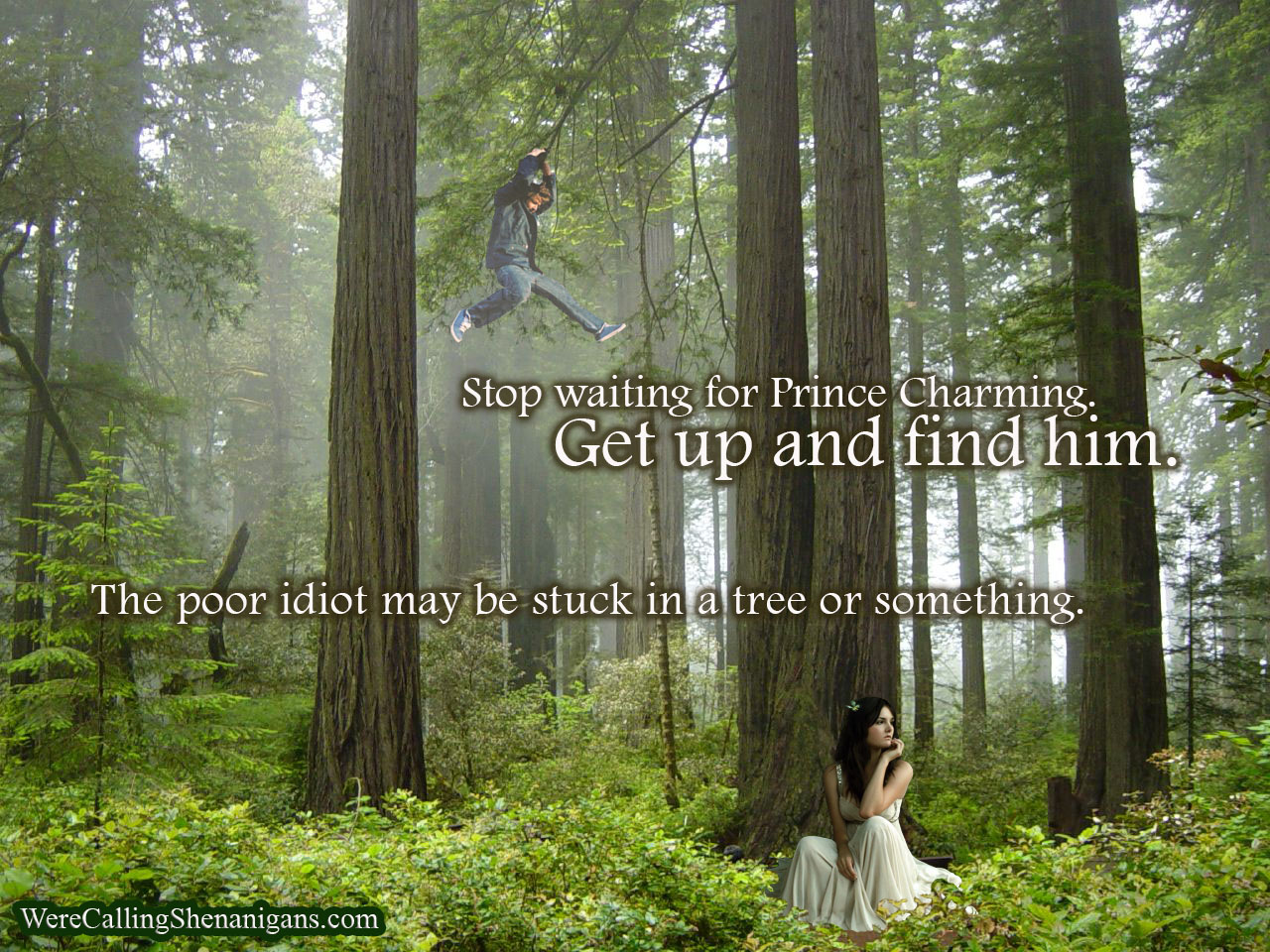 Stop waiting for Prince Charming, Get up and fine him, the poor idiot may be stuck in a tree