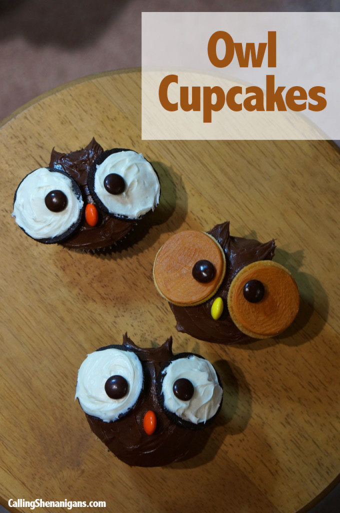 Pinterest Owl Cupcakes